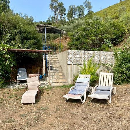 Unique Tiny House With Natural Building Techniques Figueiro Dos Vinhos Buitenkant foto
