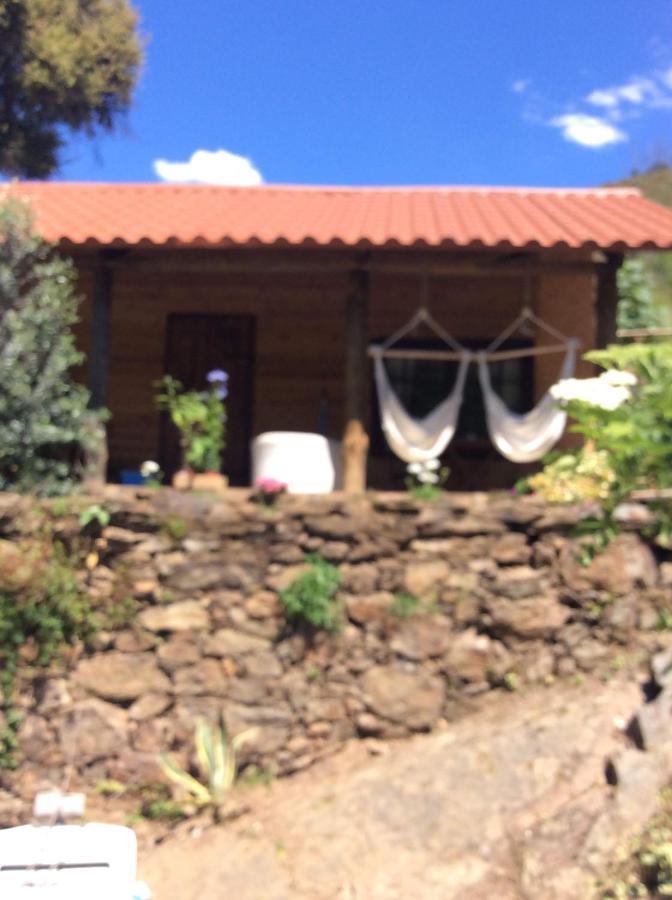Unique Tiny House With Natural Building Techniques Figueiro Dos Vinhos Buitenkant foto