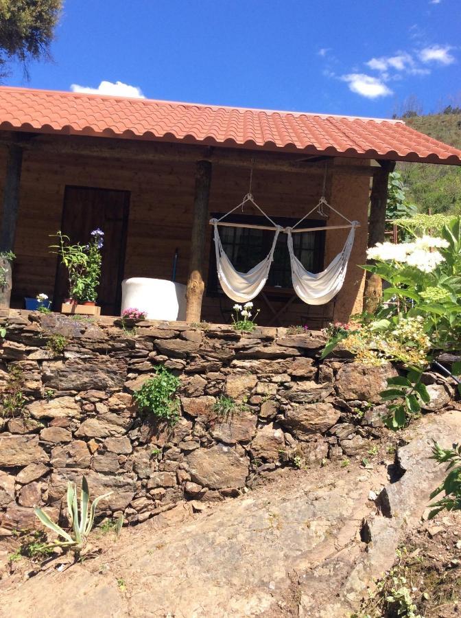 Unique Tiny House With Natural Building Techniques Figueiro Dos Vinhos Buitenkant foto