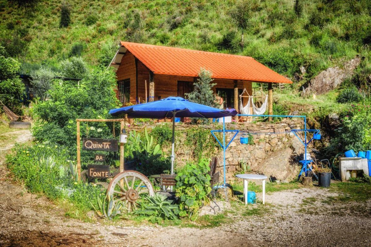 Unique Tiny House With Natural Building Techniques Figueiro Dos Vinhos Buitenkant foto