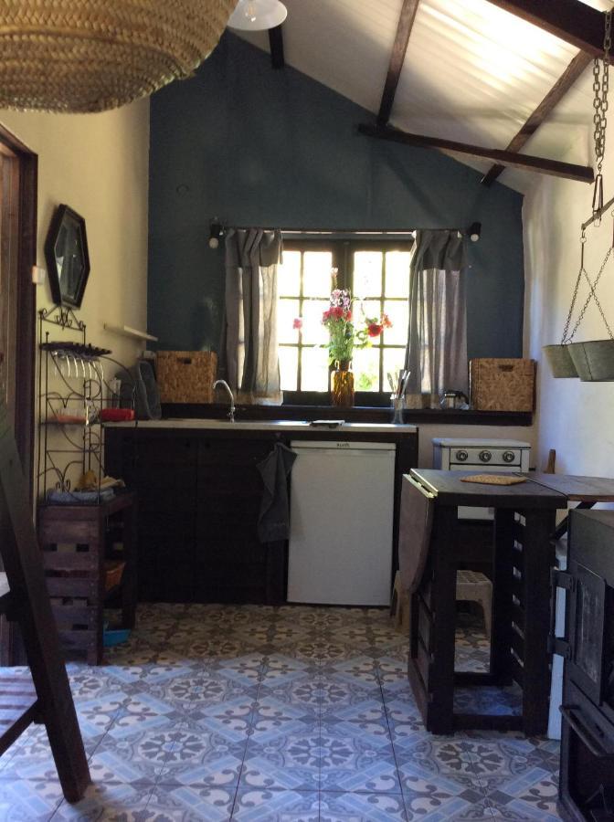 Unique Tiny House With Natural Building Techniques Figueiro Dos Vinhos Buitenkant foto