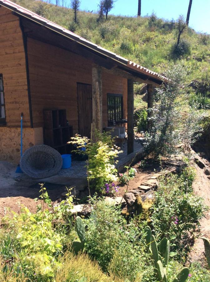 Unique Tiny House With Natural Building Techniques Figueiro Dos Vinhos Buitenkant foto