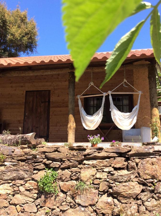 Unique Tiny House With Natural Building Techniques Figueiro Dos Vinhos Buitenkant foto