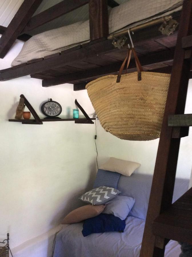 Unique Tiny House With Natural Building Techniques Figueiro Dos Vinhos Buitenkant foto