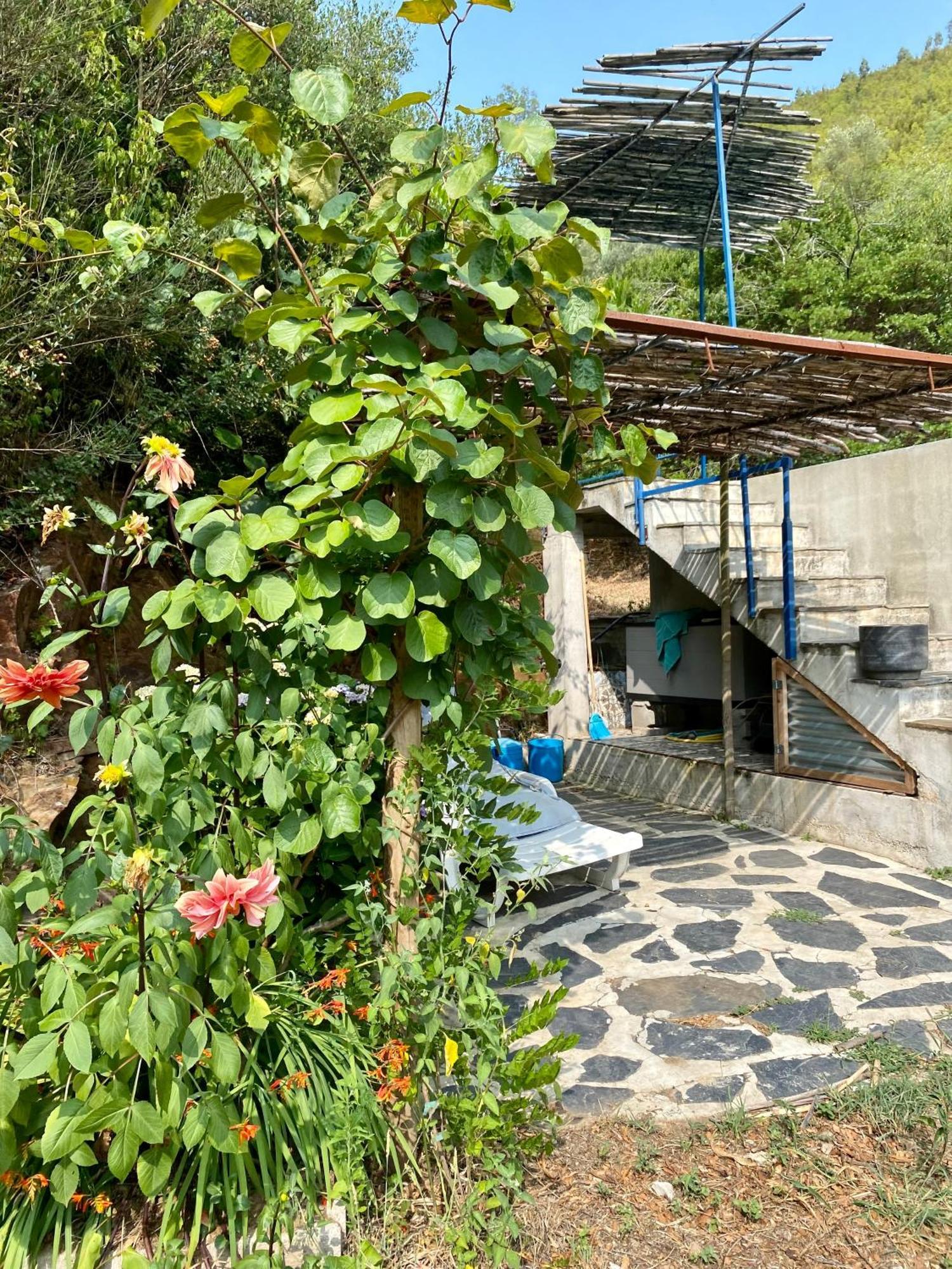 Unique Tiny House With Natural Building Techniques Figueiro Dos Vinhos Buitenkant foto