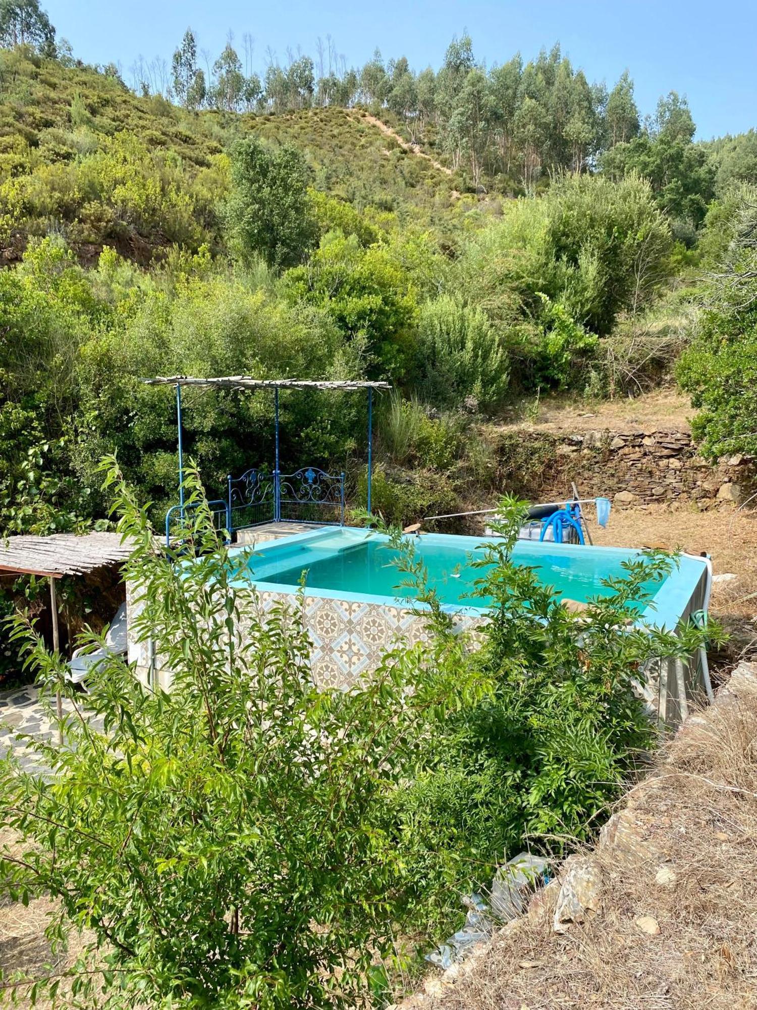 Unique Tiny House With Natural Building Techniques Figueiro Dos Vinhos Buitenkant foto